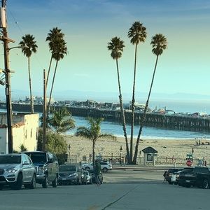 Meet your Posher, Monica